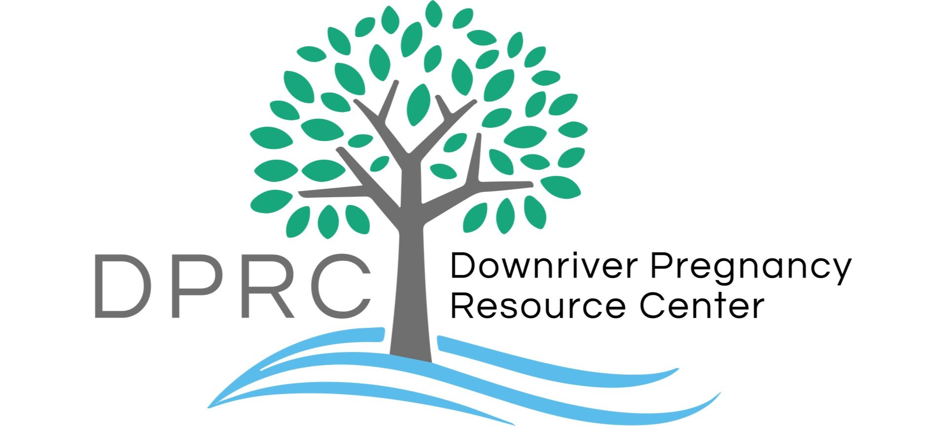 Downriver Pregnancy Resource Center